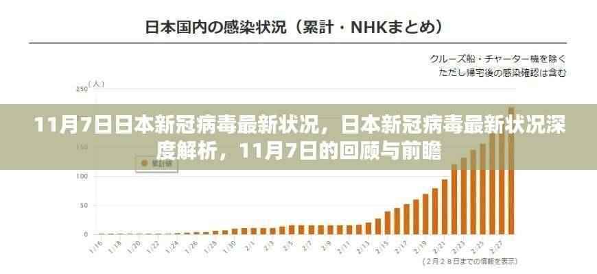 日本新冠病毒最新状况深度解析，回顾与展望（11月7日）