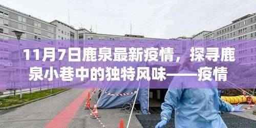 鹿泉疫情最新动态，探寻小巷独特风味，疫情下的意外美食之旅