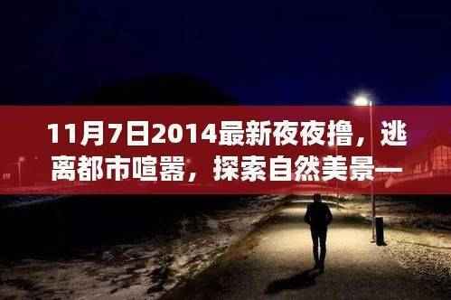 心灵之旅,逃离都市喧嚣,探索自然美景的魅力之夜——2014年11月7日夜夜撸体验