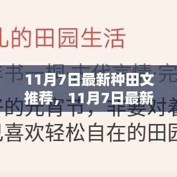 11月7日最新种田文推荐,领略乡村新风尚,感受田园生活的美好