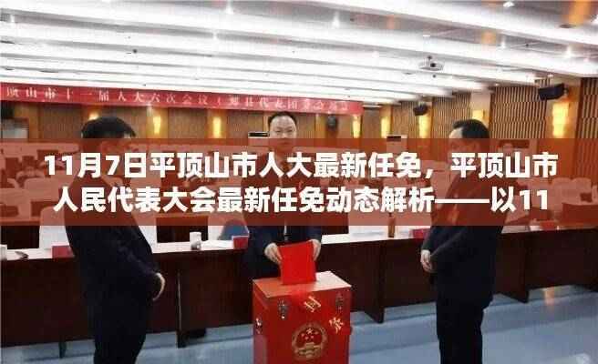 平顶山市人大最新任免动态解析，11月7日中心发布的人事调整概览