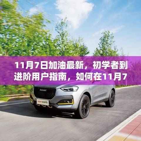 初学者到进阶用户指南,11月7日加油任务与技能提升全面步骤详解