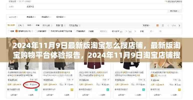 淘宝最新版购物平台体验报告,店铺搜索功能详解与操作指南(2024年11月)