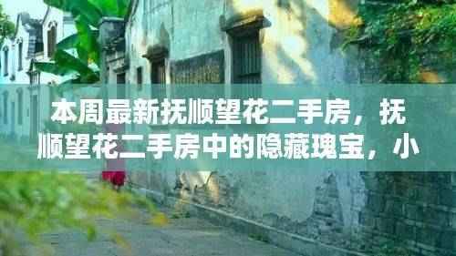 本周抚顺望花二手房探秘,隐藏瑰宝与小巷特色小店一览