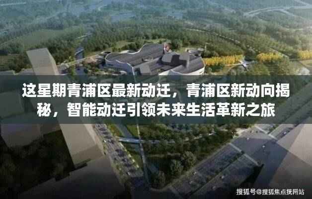 商品分类 第605页