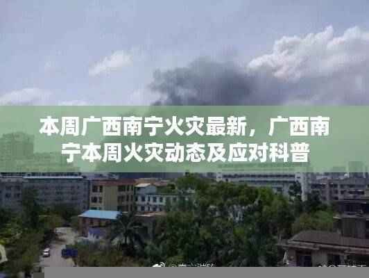 广西南宁本周火灾最新动态，火灾科普与应对进展