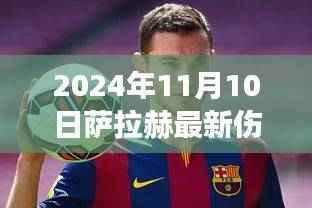 萨拉赫最新伤病更新,健康状况如何?2024年11月10日报告