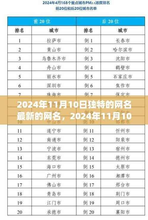 2024年独特网名趋势,个性表达与社交影响的完美交织