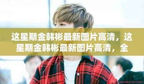 金韩彬最新高清图片大放送,全面评测与深度介绍指南