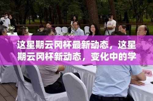 云冈杯新动态,变化中的学习之旅与自信成就感的融合之旅