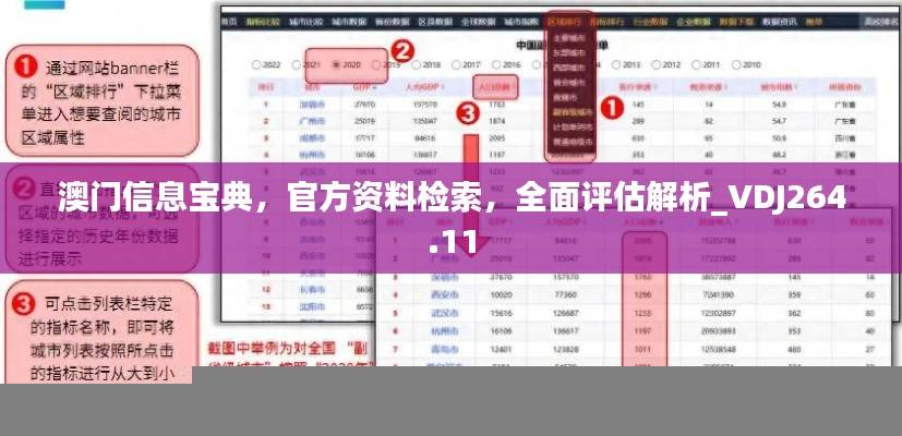 澳门信息宝典，官方资料检索，全面评估解析_VDJ264.11
