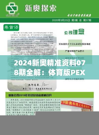 2024新奥精准资料078期全解:体育版PEX611.65方案深度剖析