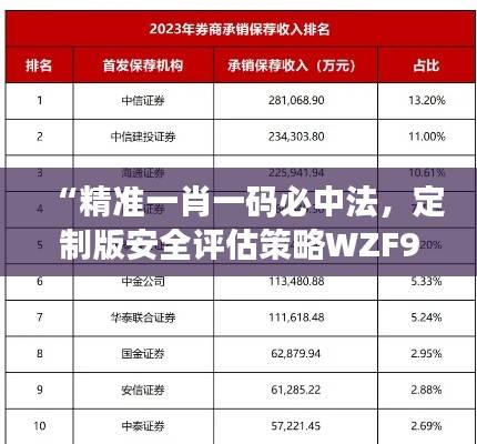“精准一肖一码必中法，定制版安全评估策略WZF902.3”