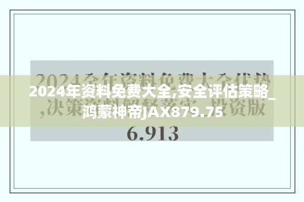 2024年资料免费大全,安全评估策略_鸿蒙神帝JAX879.75