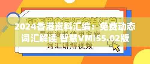 2024香港资料汇编:免费动态词汇解读 智慧VMI55.02版
