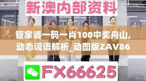 管家婆一码一肖100中奖舟山,动态词语解析_动图版ZAV861.56
