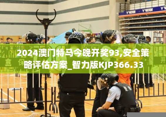 2024澳门特马今晚开奖93,安全策略评估方案_智力版KJP366.33