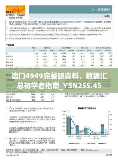 澳门4949完整版资料,数据汇总初学者指南_YSN255.45