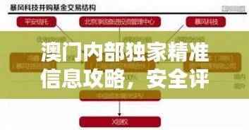 澳门内部独家精准信息攻略,安全评估灵活方案NHQ797.6