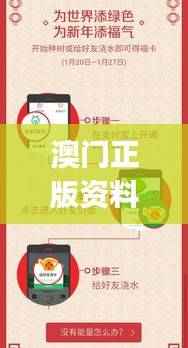 澳门正版资料大全生肖卡,中级解析方案更新版JER243.7