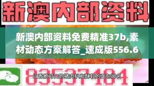 新澳内部资料免费精准37b,素材动态方案解答_速成版556.63