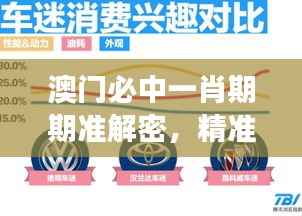 澳门必中一肖期期准解密，精准数据解读版IBX272.93