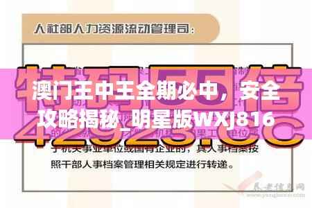 jieshenzihao 第20页