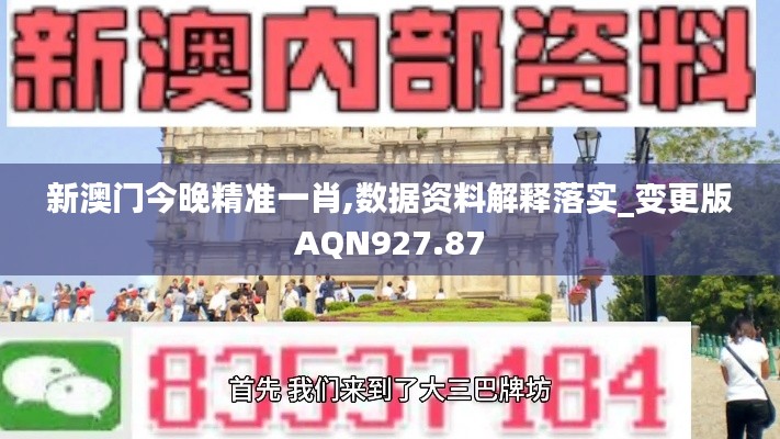 新澳门今晚精准一肖,数据资料解释落实_变更版AQN927.87