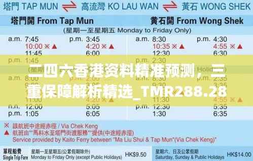 二四六香港资料精准预测,三重保障解析精选_TMR288.28解读