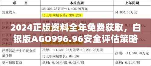 2024正版资料全年免费获取，白银版AGO996.96安全评估策略一览