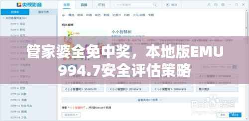 管家婆全免中奖，本地版EMU994.7安全评估策略