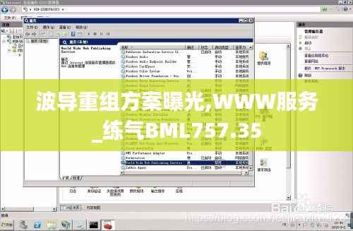 波导重组方案曝光,WWW服务_练气BML757.35