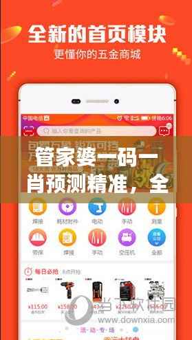 管家婆一码一肖预测精准，全新正版解析修订版RWT880.61