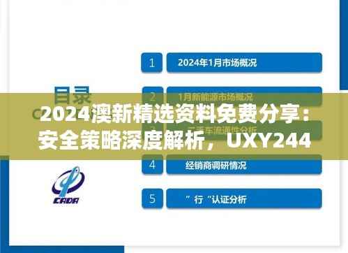 2024澳新精选资料免费分享:安全策略深度解析,UXY244.24优选版