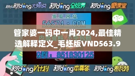 管家婆一码中一肖2024,最佳精选解释定义_毛坯版VND563.93
