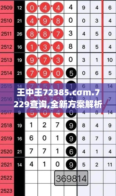 王中王72385.cσm.7229查询,全新方案解析_传统版WRJ73.19