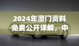 2024年澳门资料免费公开详解，中级版CLS258.86资料解读