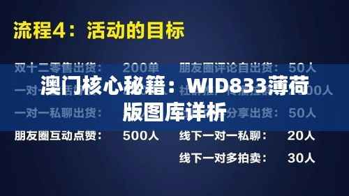 澳门核心秘籍：WID833薄荷版图库详析