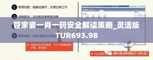 管家婆一肖一码安全解读策略_灵活版TUR693.98