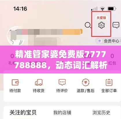 精准管家婆免费版7777788888，动态词汇解析——学院版LAT319.01