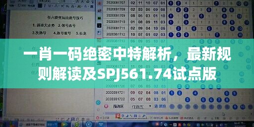 一肖一码绝密中特解析，最新规则解读及SPJ561.74试点版