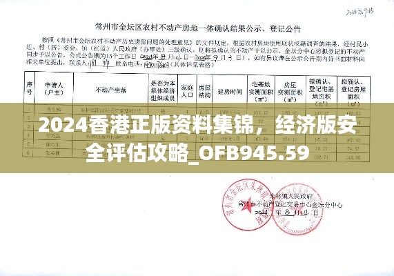 2024香港正版资料集锦，经济版安全评估攻略_OFB945.59