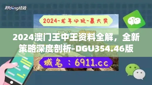 2024澳门王中王资料全解，全新策略深度剖析-DGU354.46版