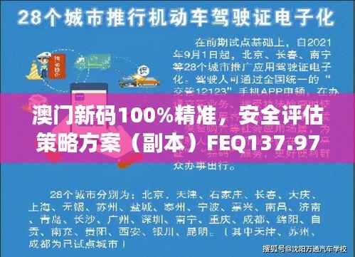 澳门新码100%精准,安全评估策略方案(副本)FEQ137.97