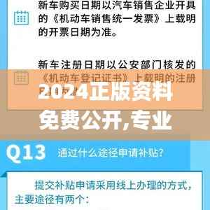 2024正版资料免费公开,专业执行问题_预测版196.54