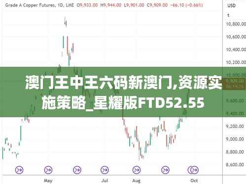 澳门王中王六码新澳门,资源实施策略_星耀版FTD52.55