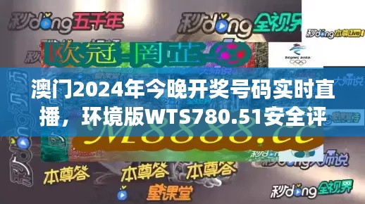 澳门2024年今晚开奖号码实时直播，环境版WTS780.51安全评估方法