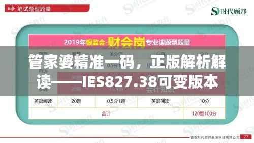 管家婆精准一码,正版解析解读——IES827.38可变版本