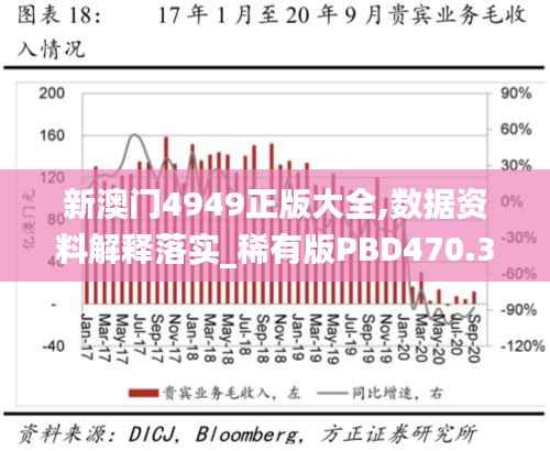 新澳门4949正版大全,数据资料解释落实_稀有版PBD470.33
