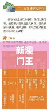 新澳门王中王必中秘籍解析：FVE513.98版深度研究